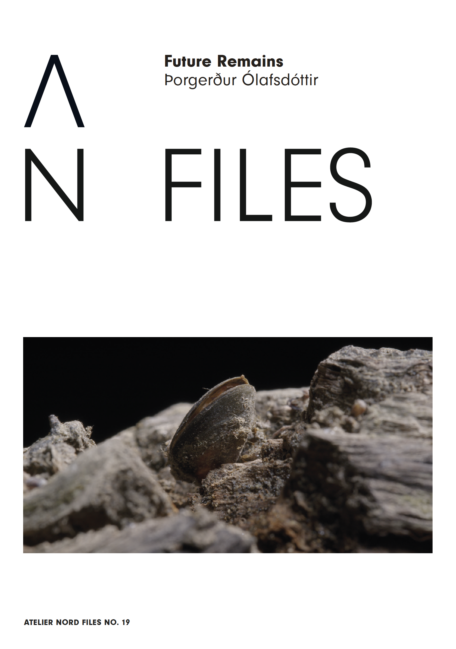 PDF - Þorgerður Ólafsdóttir: Future Remains – med essay av Becky Forsythe